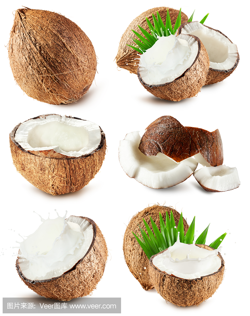一組孤立在白色背景上的椰子