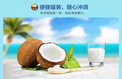 海南特產(chǎn) 南國(guó)食品 純椰子粉320g+濃香椰子粉340g早餐速溶椰汁粉